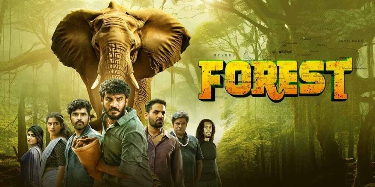 Forest